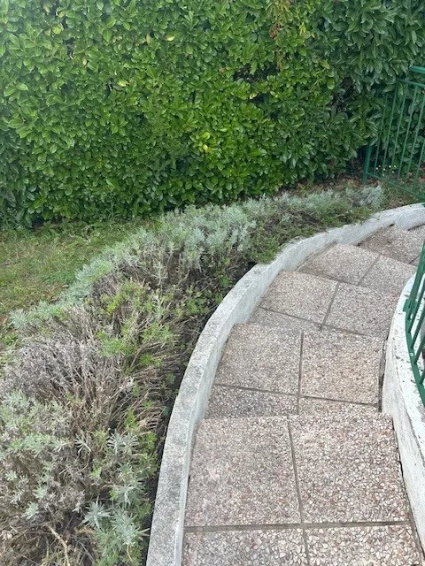 SNGA votre spécialiste pour l’entretien de vos espaces verts, Pont-Évêque, Société de nettoyage Girard André