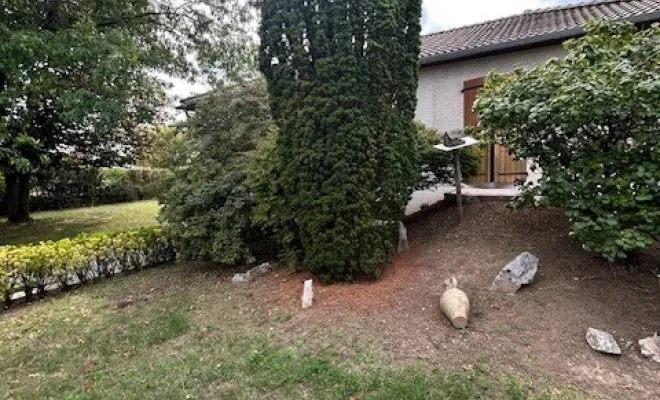 SNGA votre spécialiste pour l’entretien de vos espaces verts, Pont-Évêque, Société de nettoyage Girard André