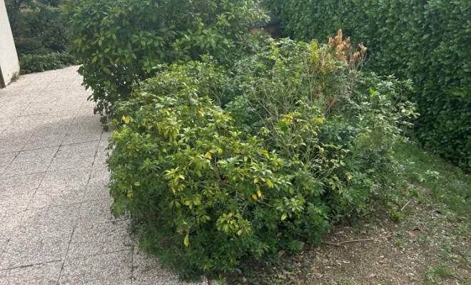 SNGA votre spécialiste pour l’entretien de vos espaces verts, Pont-Évêque, Société de nettoyage Girard André